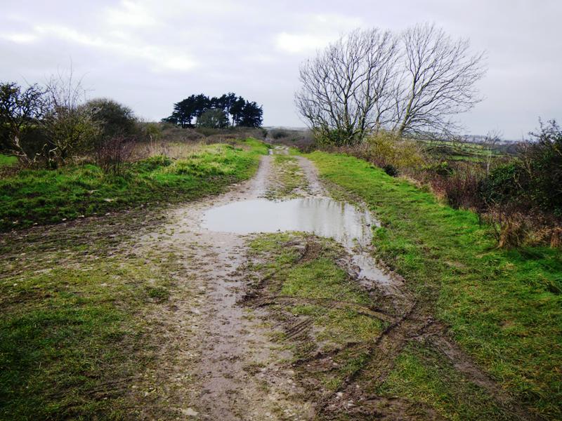 Priest's Way Gallery